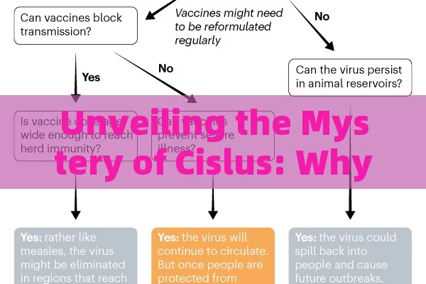 Unveiling the Mystery of Cislus: Why You Should Know